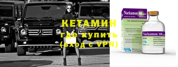 крисы Мегион