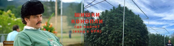 крисы Мегион