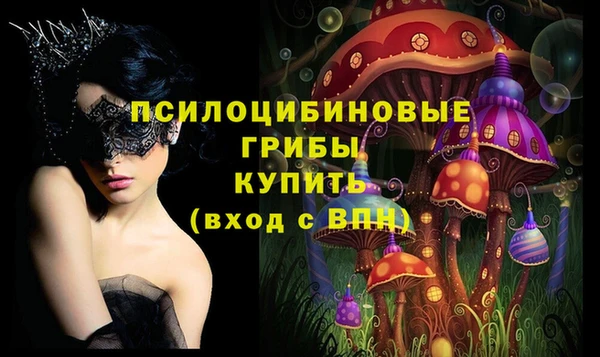 дмт Михайлов