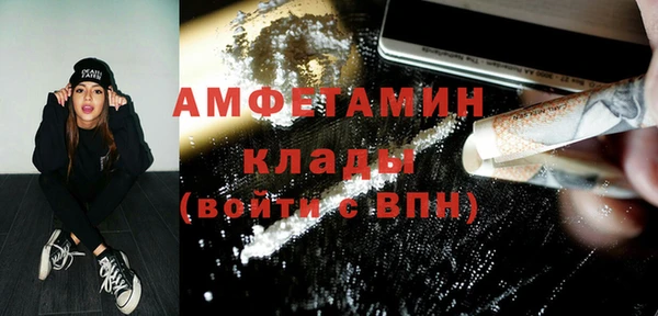 крисы Мегион
