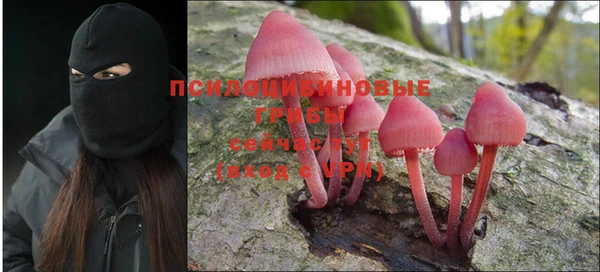 дмт Михайлов