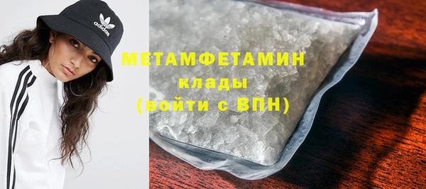 крисы Мегион