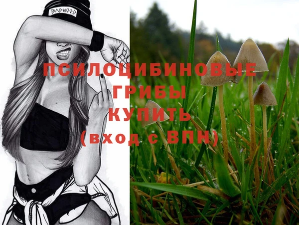 крисы Мегион